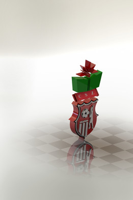 CSZ的3D标志