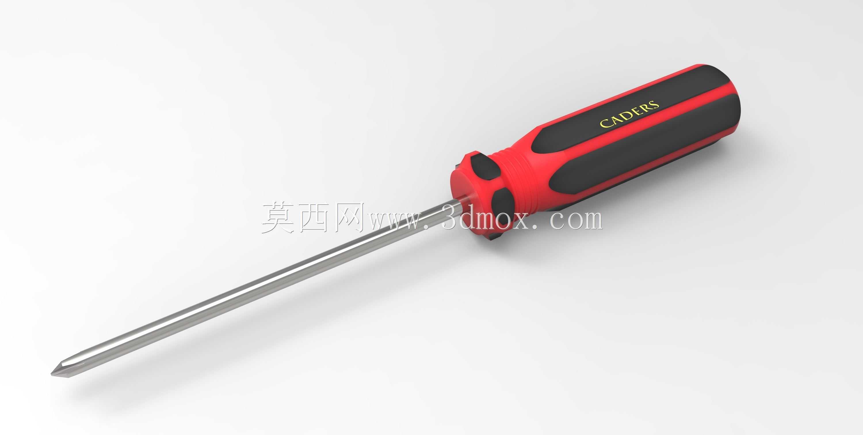 ��˿��