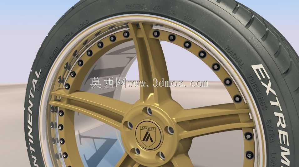 Asanti A2���֣���Conti ExtremeContact��̥
