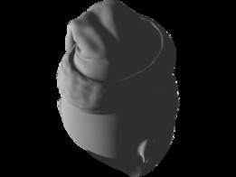 ͷ