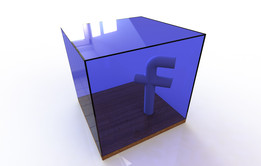 Facebook Glass�ձ�3D