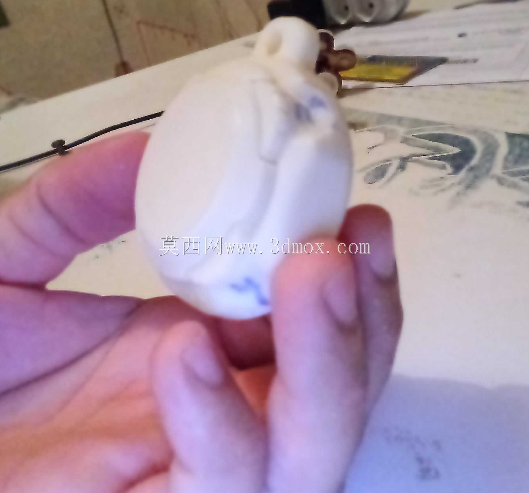 ���׿��žƵ�