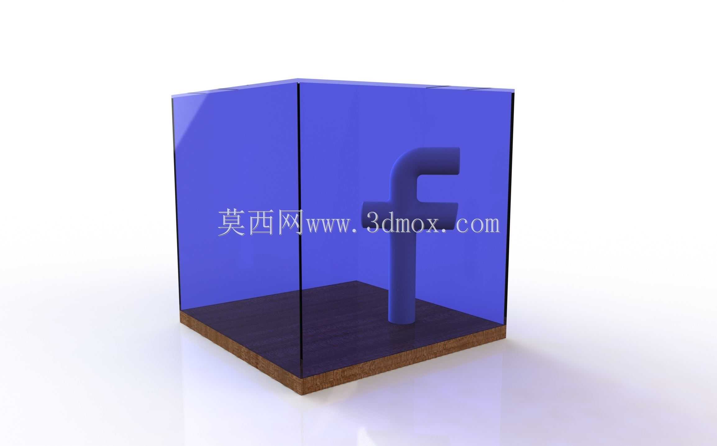 Facebook Glass�ձ�3D