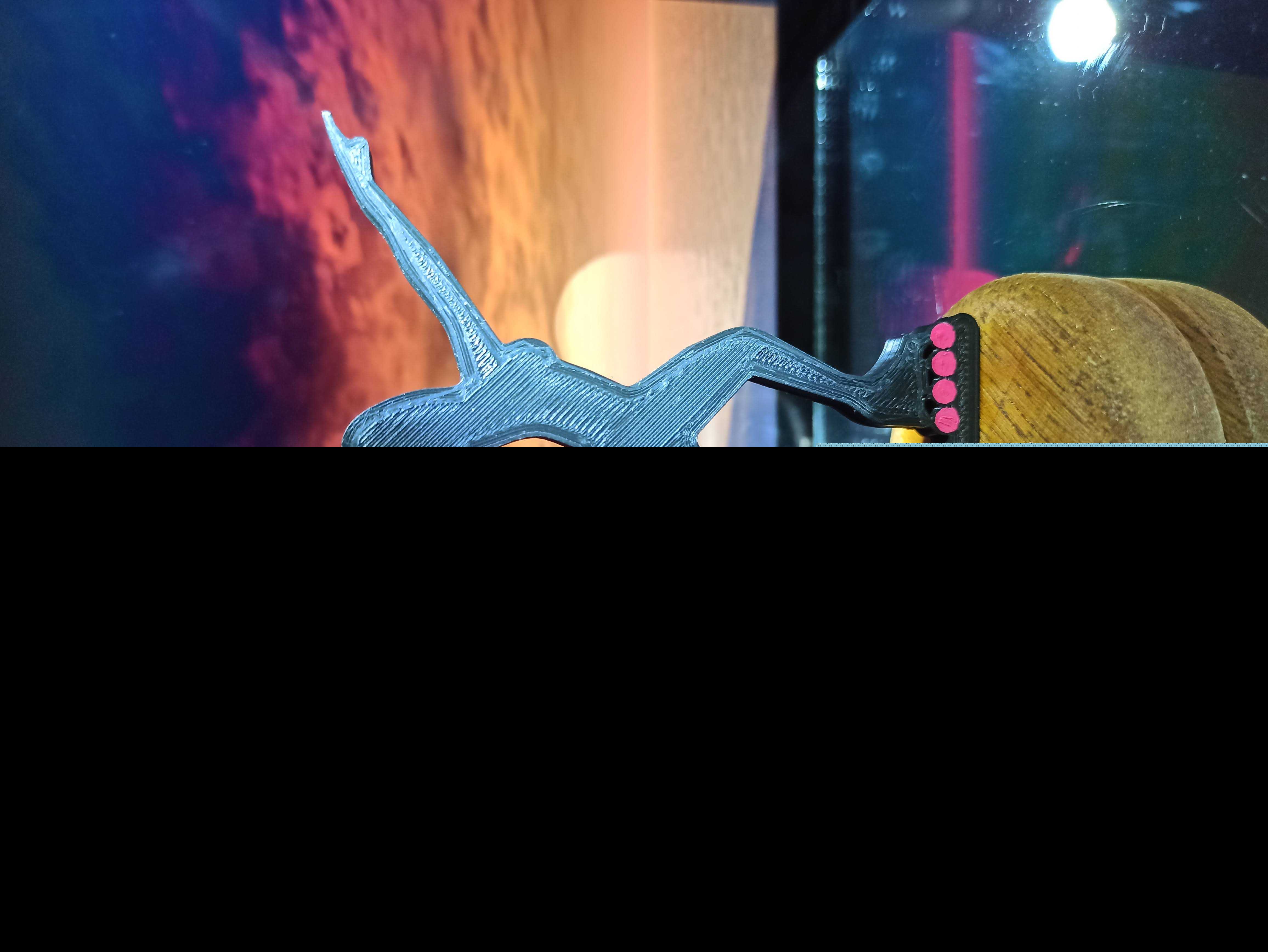 �����ɶ���װ�ξƵ�