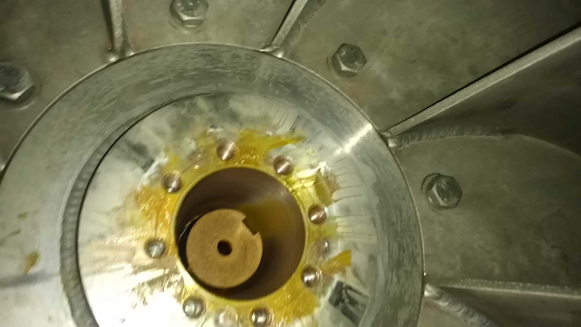 Lavador de Gas������Ⱦ����Ƭ��