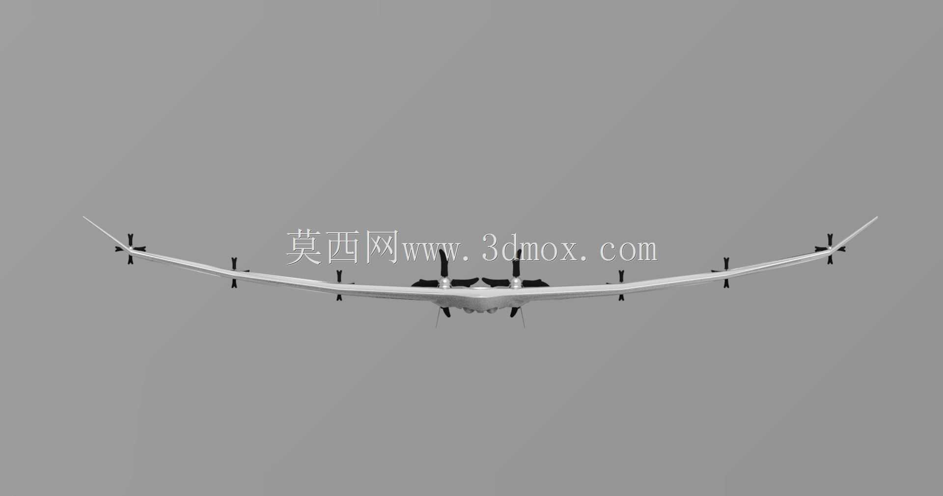 阿森纳鸟