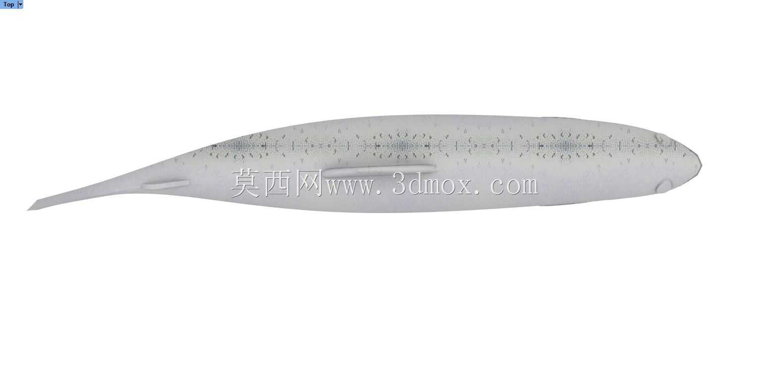 格里斯三文鱼