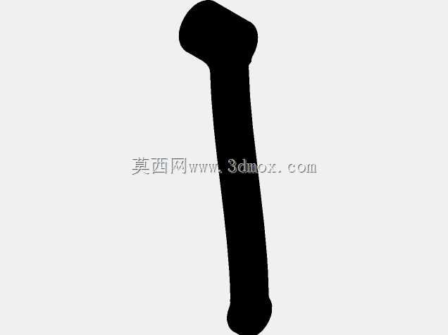 克拉西卡双锥虫