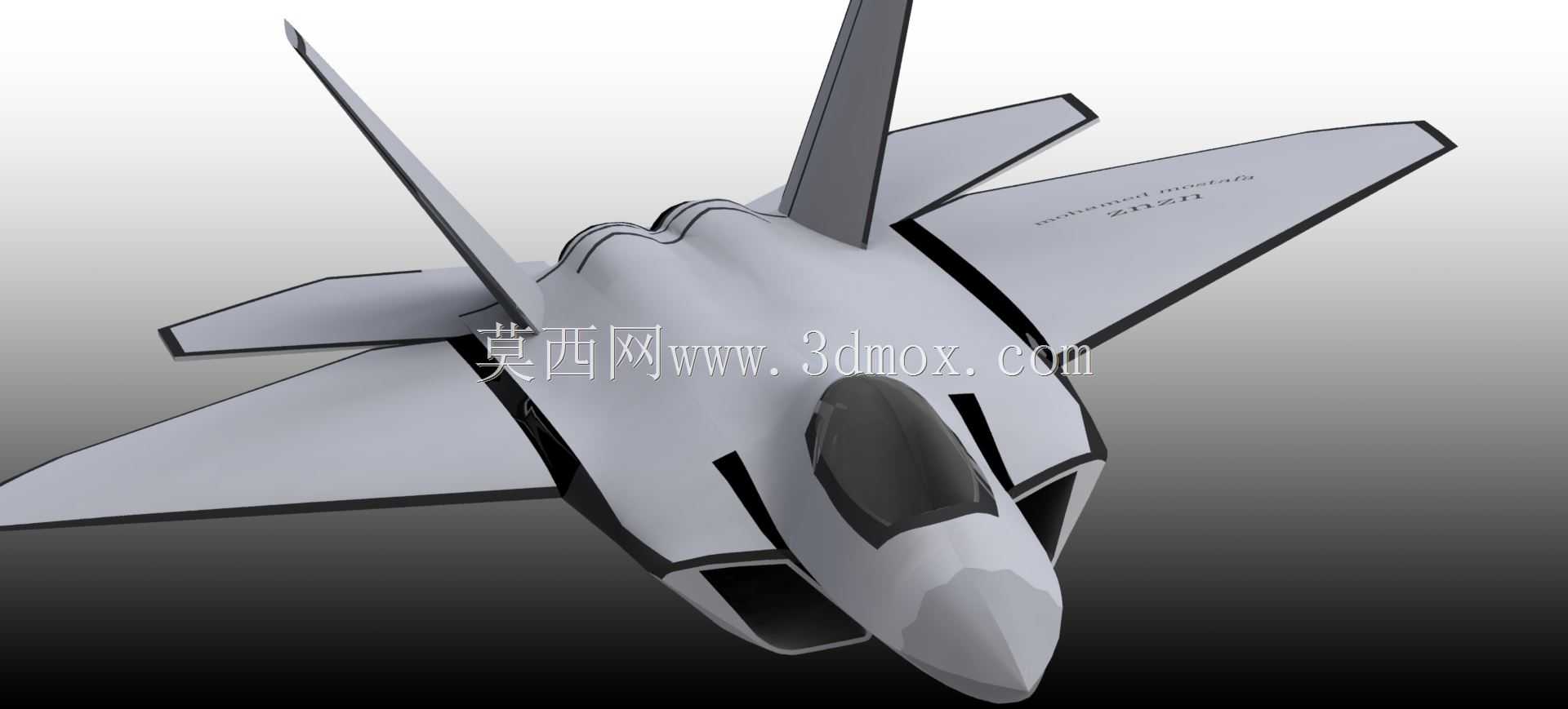 F 22����