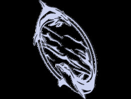 ���༤���и�