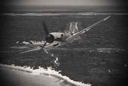 ÷��ʩ����Bf 109