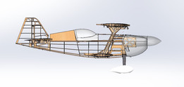 Modell Plane Wolf Pi