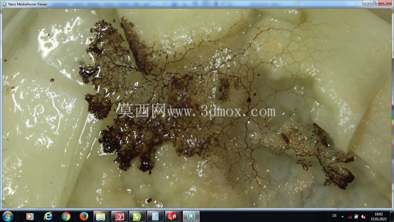 劳动模数