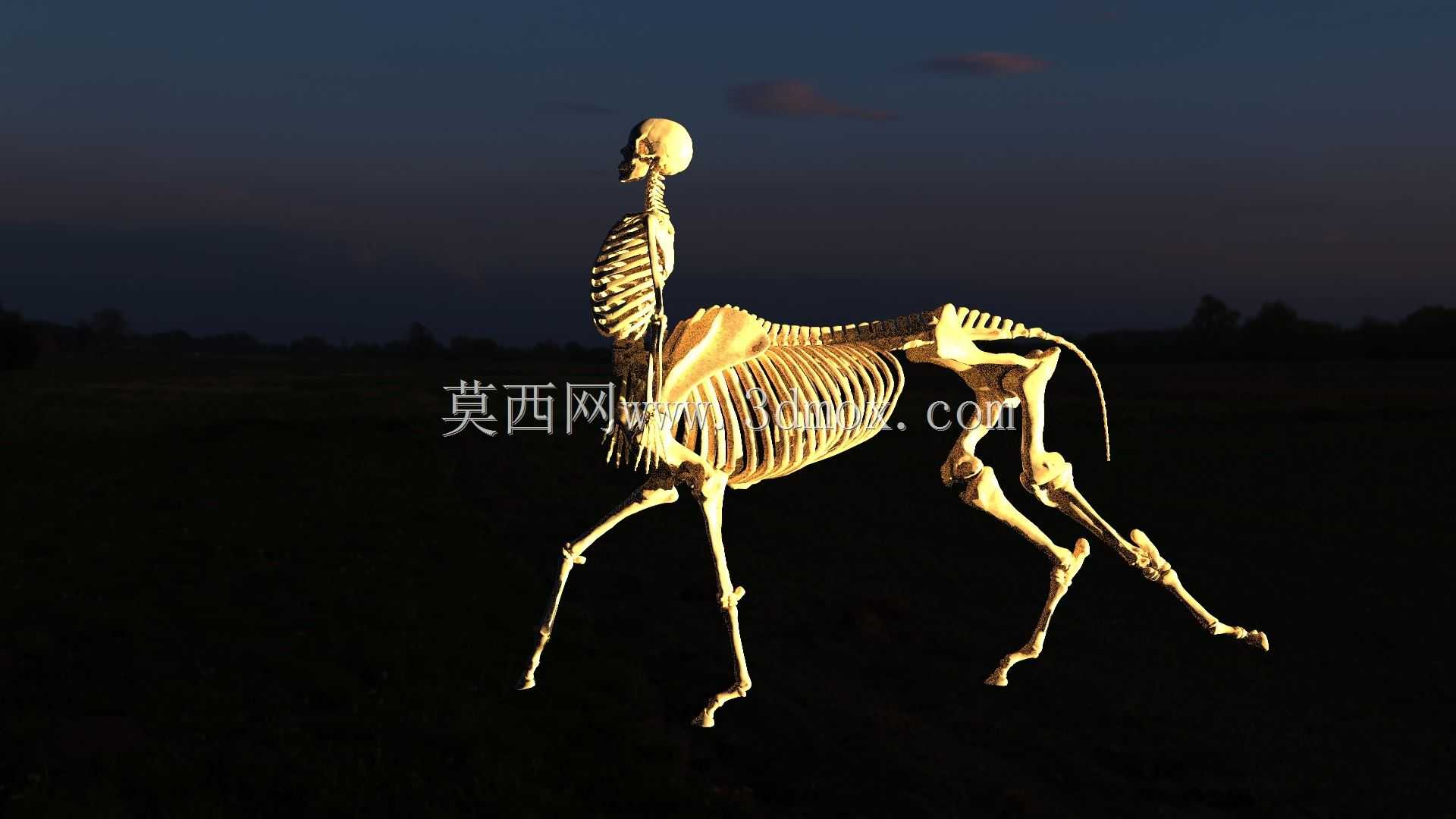 半人马骨架,半马半人。