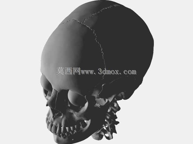 半人马骨架,半马半人。