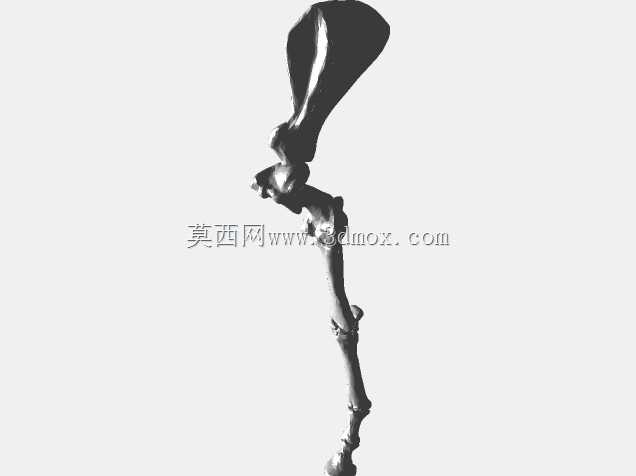 半人马骨架,半马半人。