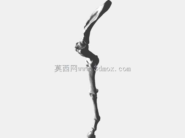 半人马骨架,半马半人。