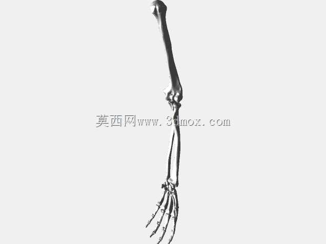 半人马骨架,半马半人。