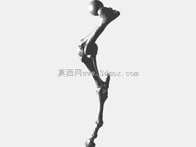 半人马骨架,半马半人。