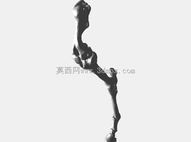 半人马骨架,半马半人。