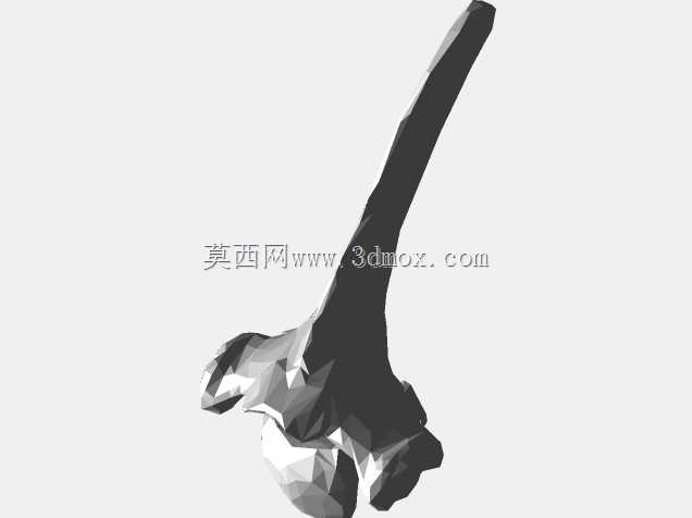 半人马骨架,半马半人。