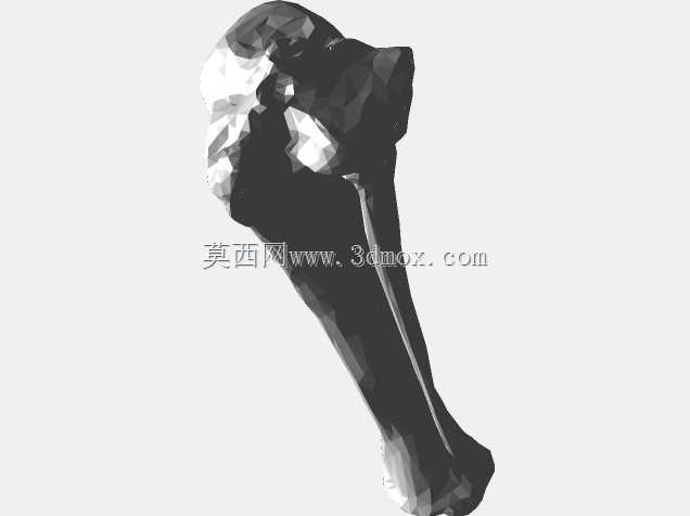 半人马骨架,半马半人。