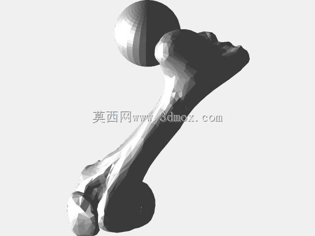 半人马骨架,半马半人。