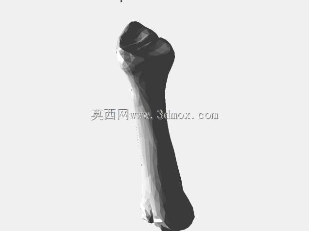 半人马骨架,半马半人。