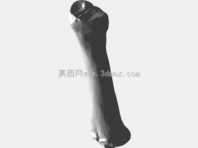 半人马骨架,半马半人。