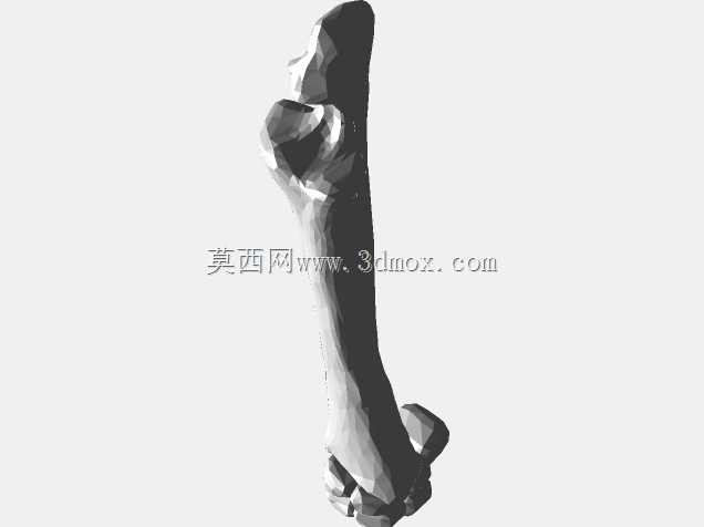 半人马骨架,半马半人。