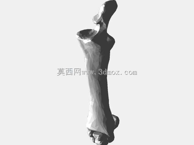 半人马骨架,半马半人。