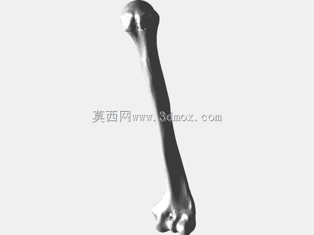 半人马骨架,半马半人。