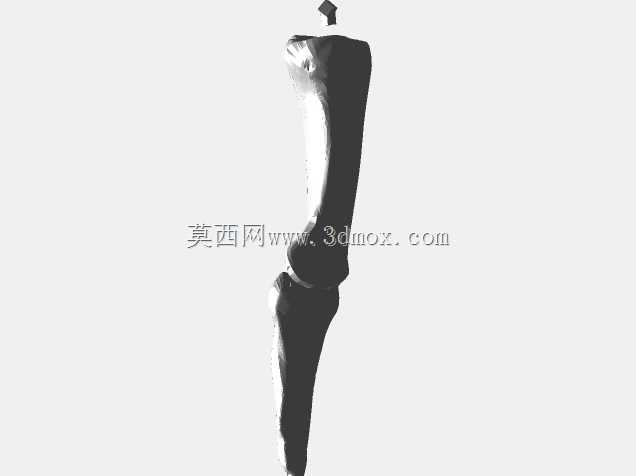 半人马骨架,半马半人。