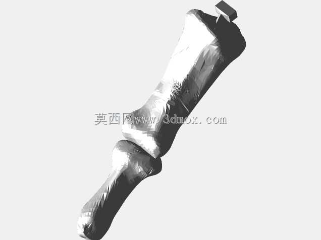 半人马骨架,半马半人。