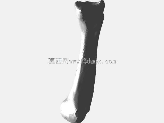半人马骨架,半马半人。