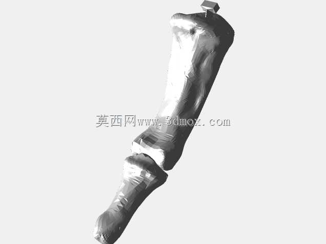 半人马骨架,半马半人。