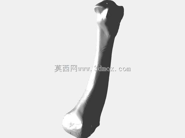 半人马骨架,半马半人。