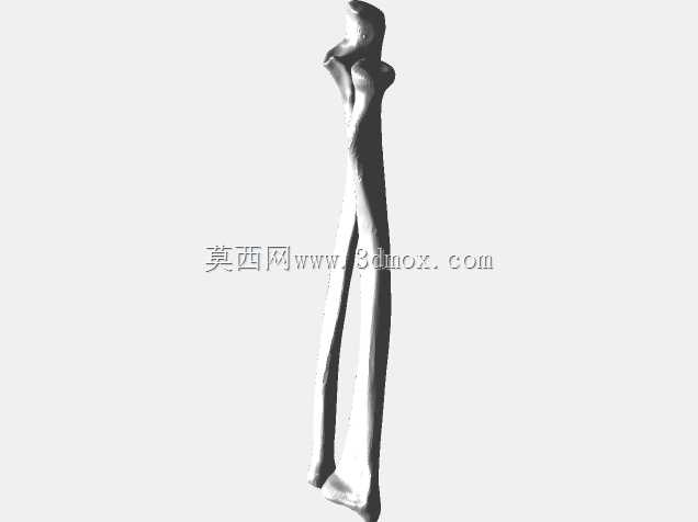 半人马骨架,半马半人。