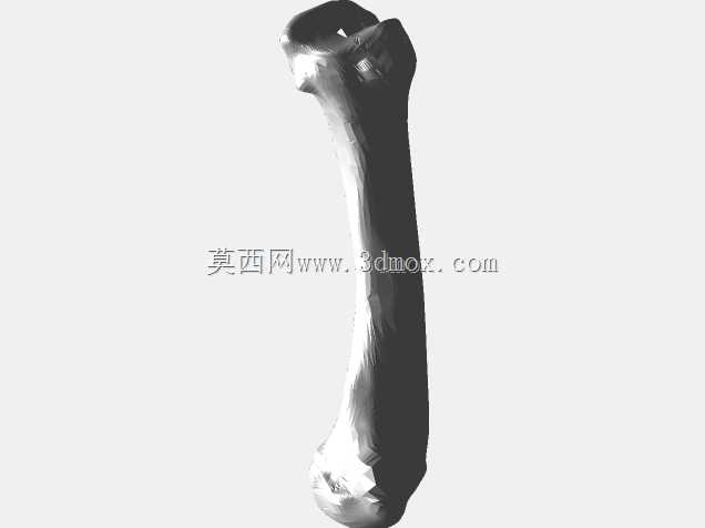 半人马骨架,半马半人。