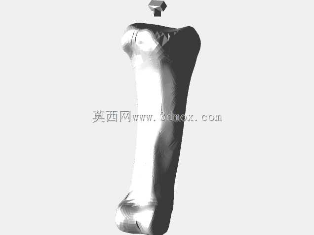半人马骨架,半马半人。