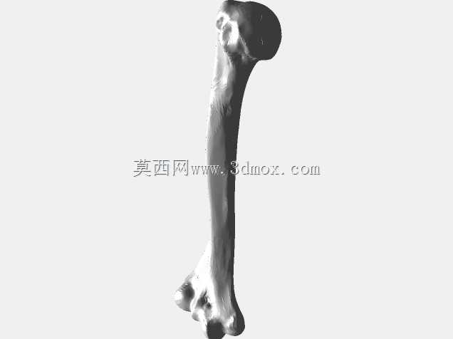 半人马骨架,半马半人。