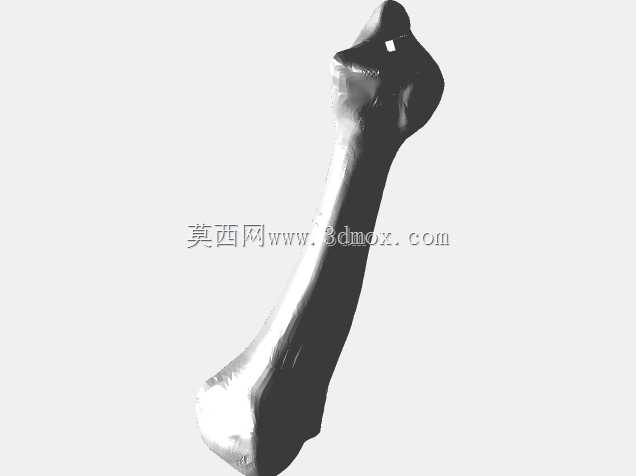 半人马骨架,半马半人。