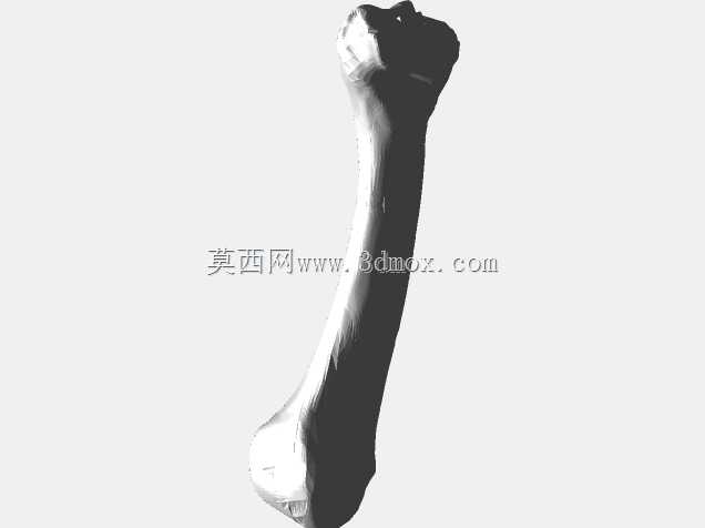 半人马骨架,半马半人。