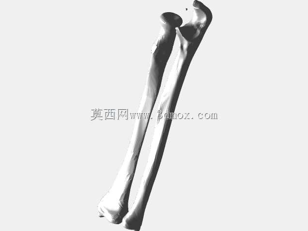 半人马骨架,半马半人。