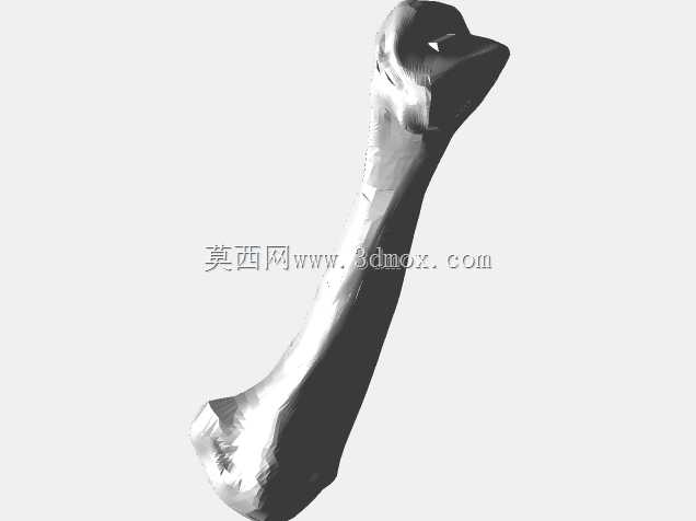 半人马骨架,半马半人。