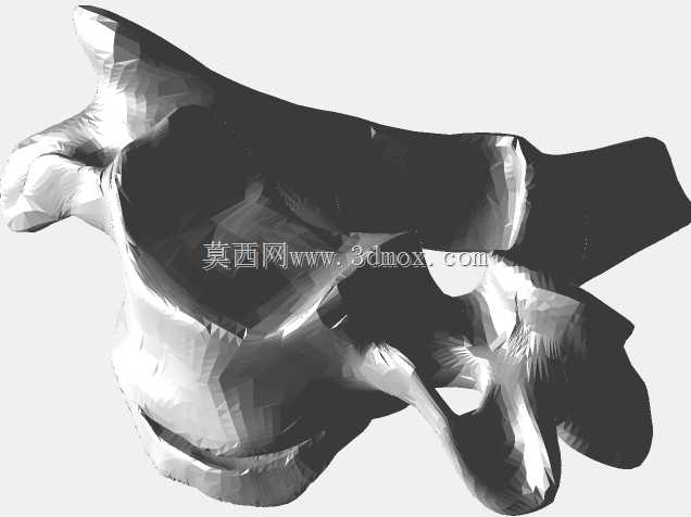 半人马骨架,半马半人。