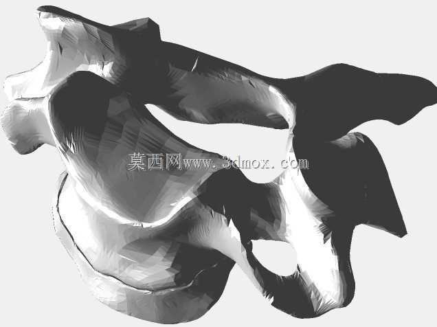 半人马骨架,半马半人。