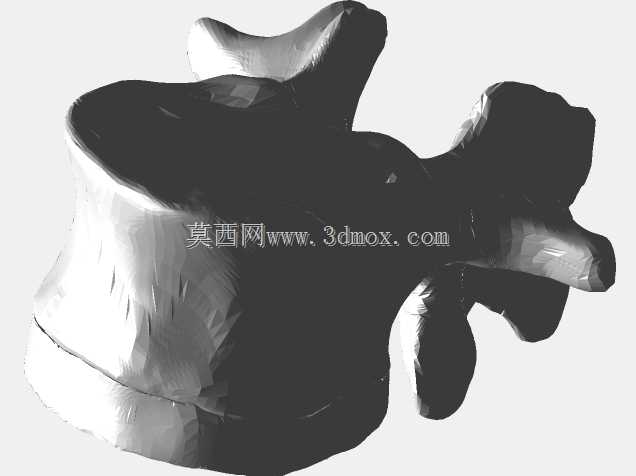 半人马骨架,半马半人。
