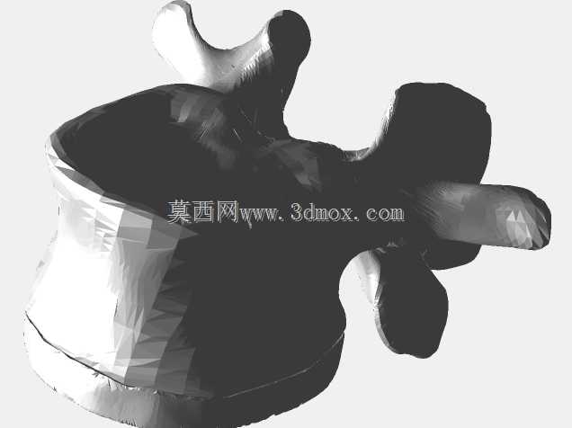 半人马骨架,半马半人。
