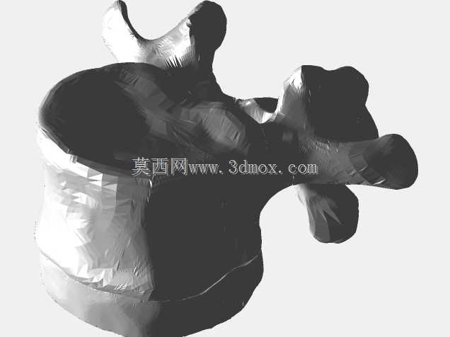 半人马骨架,半马半人。